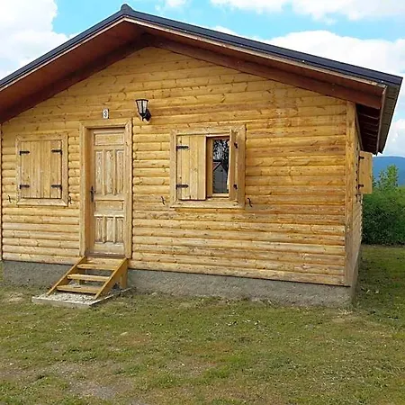Holacamp